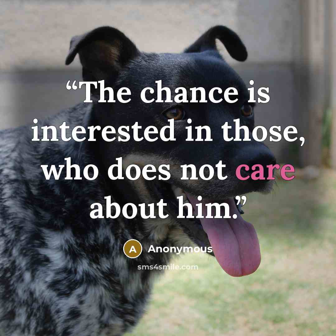 “The chance is interested in those, who does not care about him.” quote by Anonymous