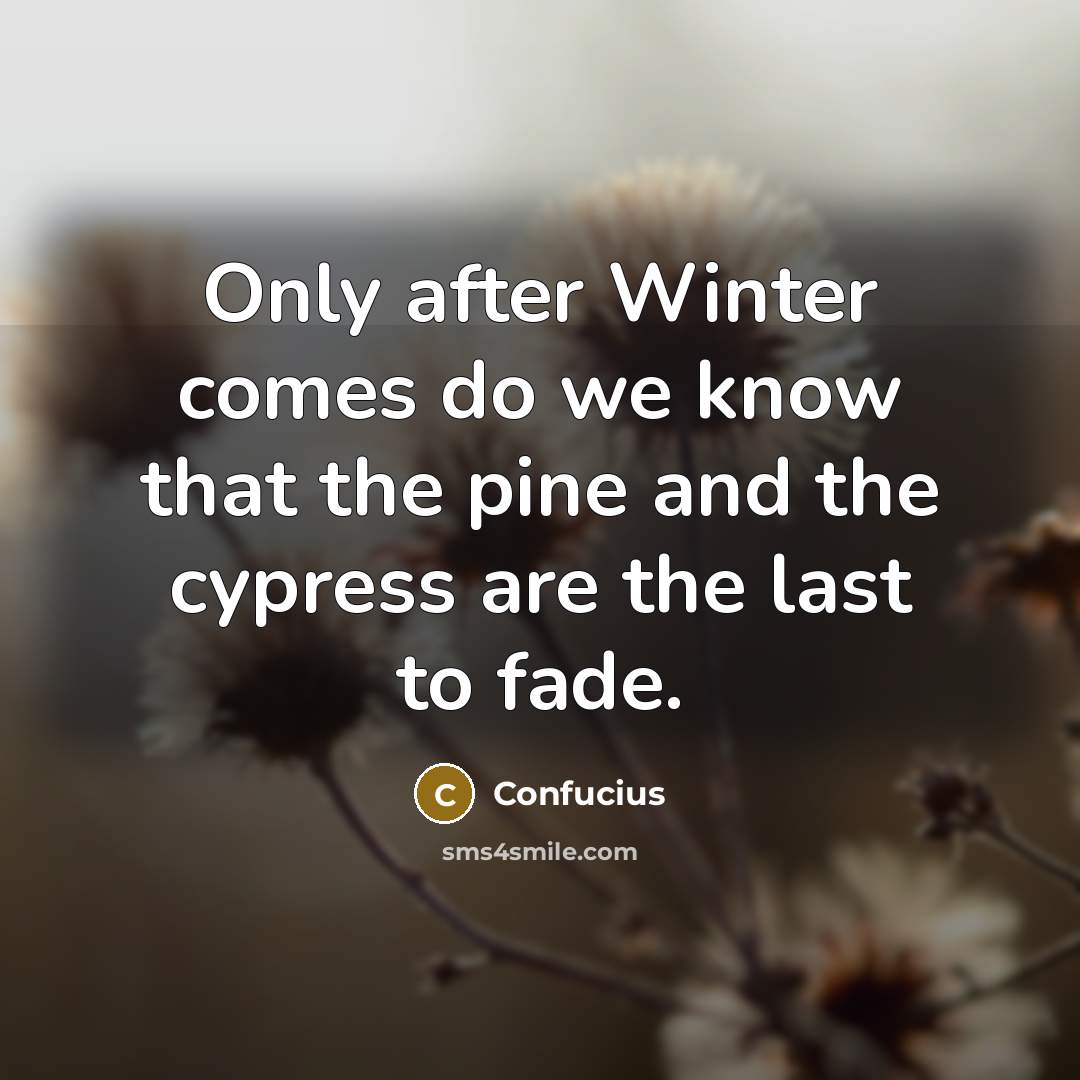 “Only after Winter comes do we know that the pine…” quote by Confucius