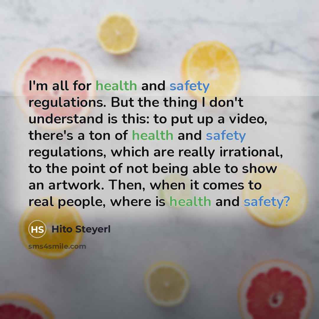 “I'm all for health and safety regulations. But the thing…” quote by Hito Steyerl