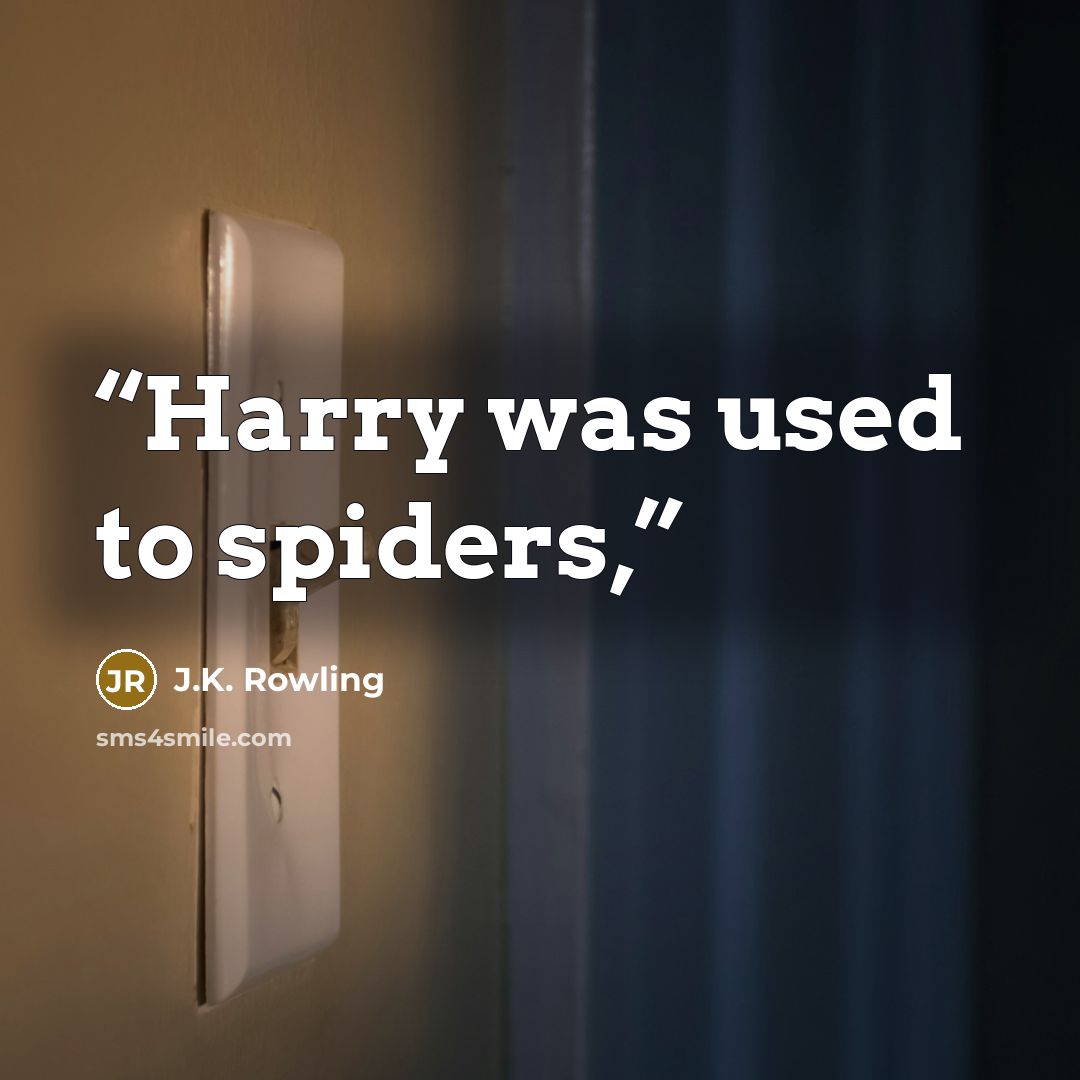 “Harry was used to spiders,” quote by J.K. Rowling
