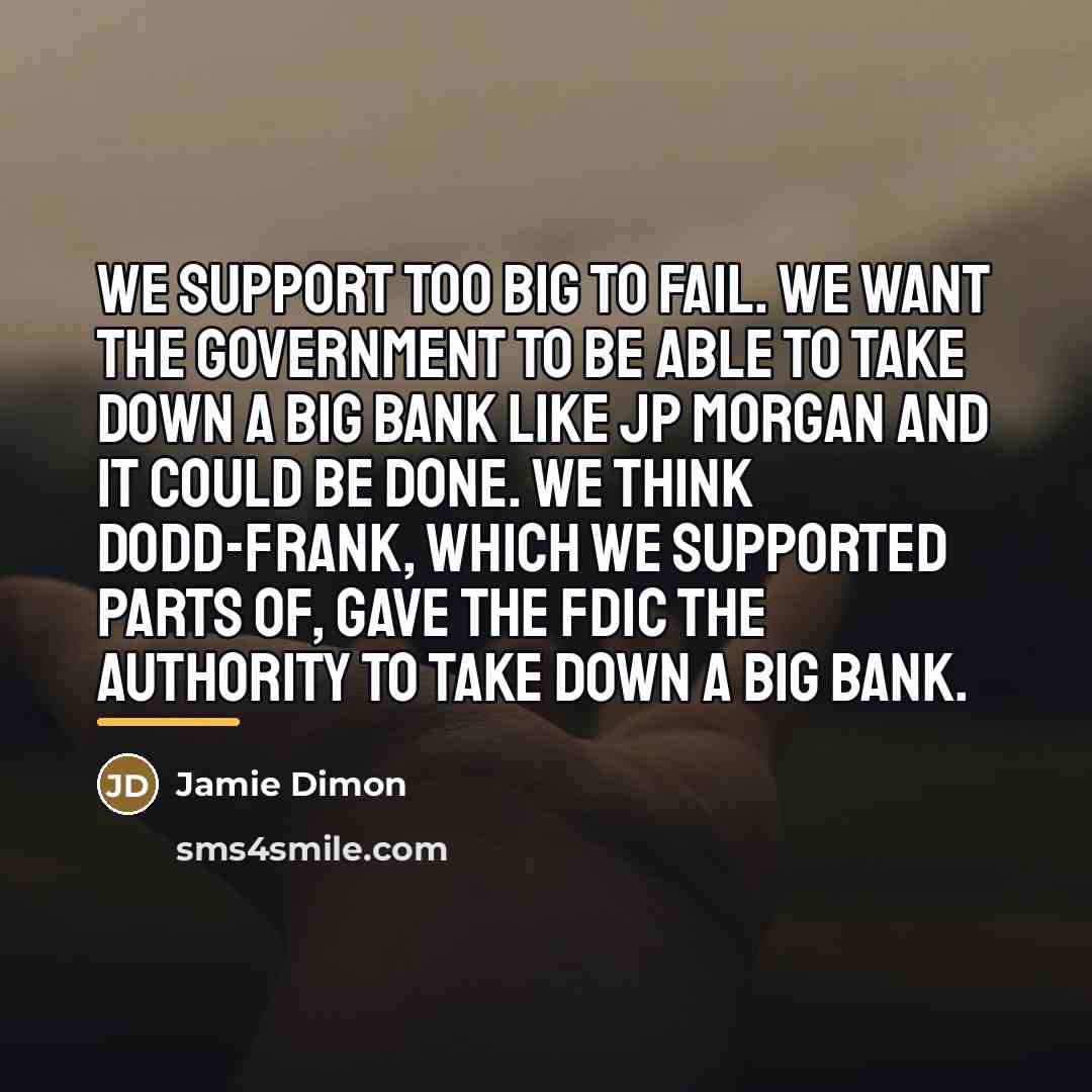 “We support too big to fail. We want the government…” quote by Jamie Dimon