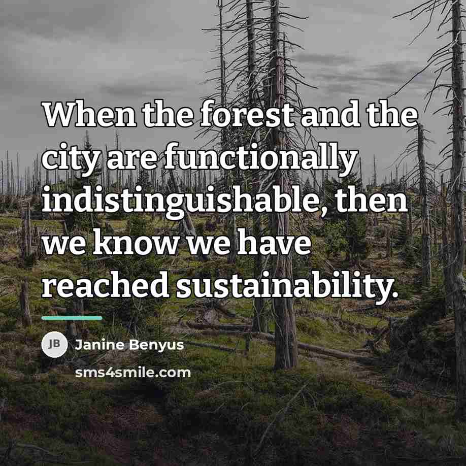 “When the forest and the city are functionally indistinguishable, then…” quote by Janine Benyus