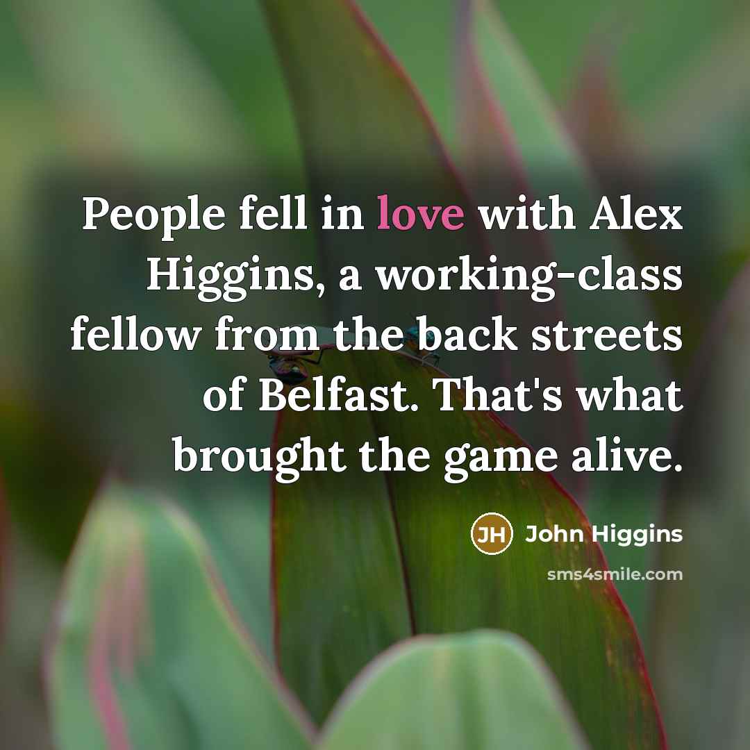 “People fell in love with Alex Higgins, a working-class fellow…” quote by John Higgins