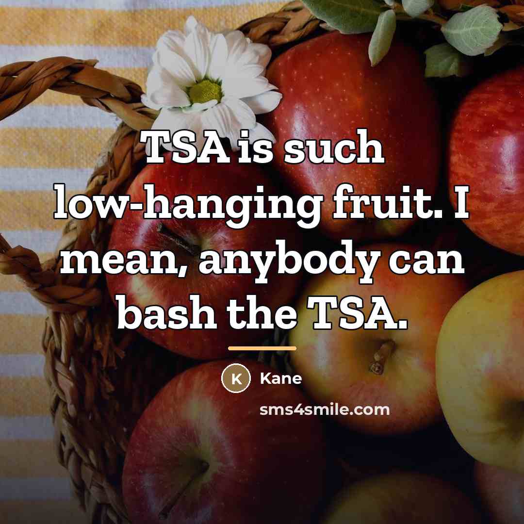 “TSA is such low-hanging fruit. I mean, anybody can bash…” quote by Kane