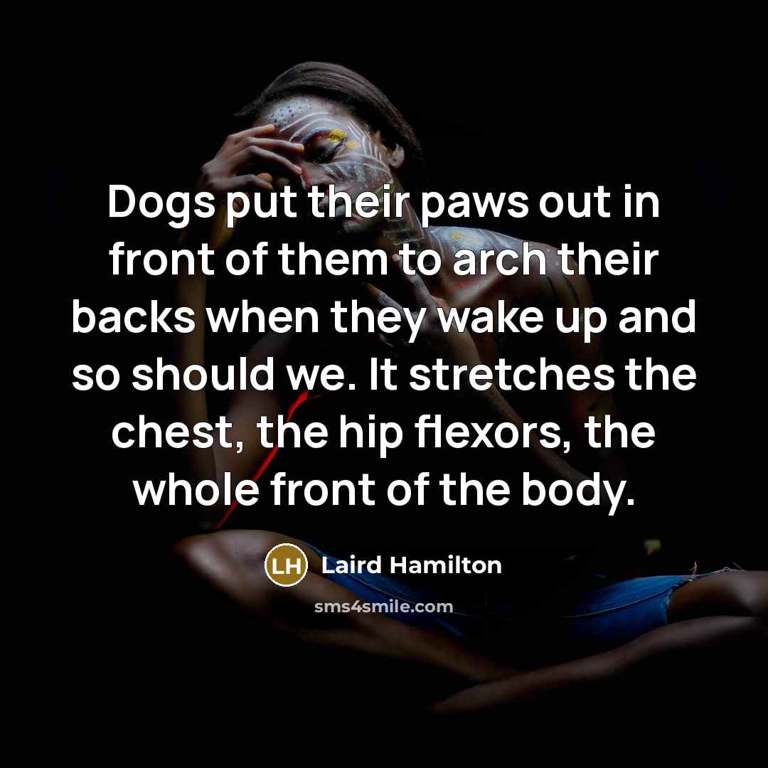 “Dogs put their paws out in front of them to…” quote by Laird Hamilton