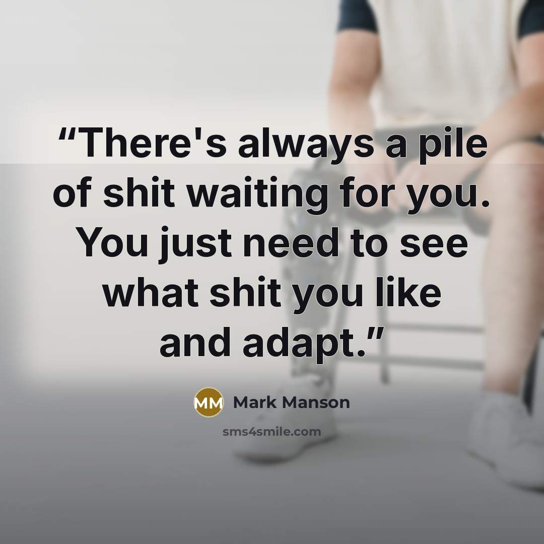 “There's always a pile of shit waiting for you. You just need to see what shit you like and adapt.” quote by Mark Manson