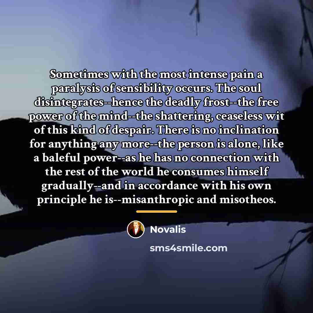 “Sometimes with the most intense pain a paralysis of sensibility…” quote by Novalis