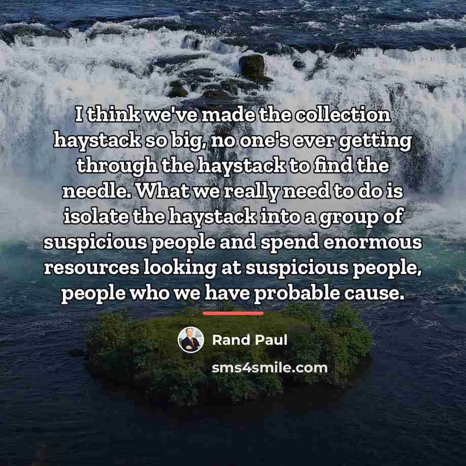 “I think we've made the collection haystack so big, no…” quote by Rand Paul