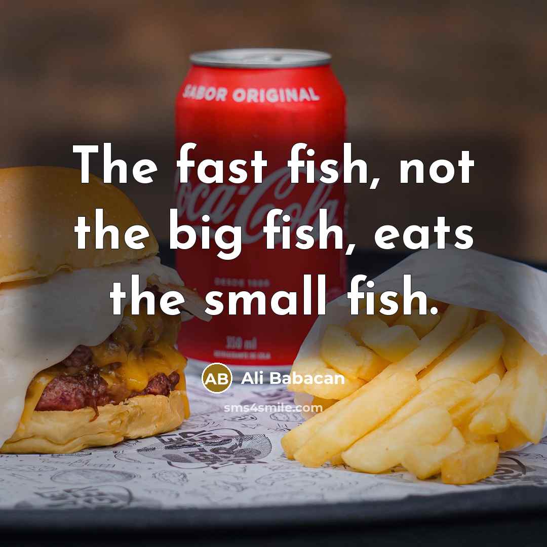 “The fast fish, not the big fish, eats the small…” quote by Ali Babacan