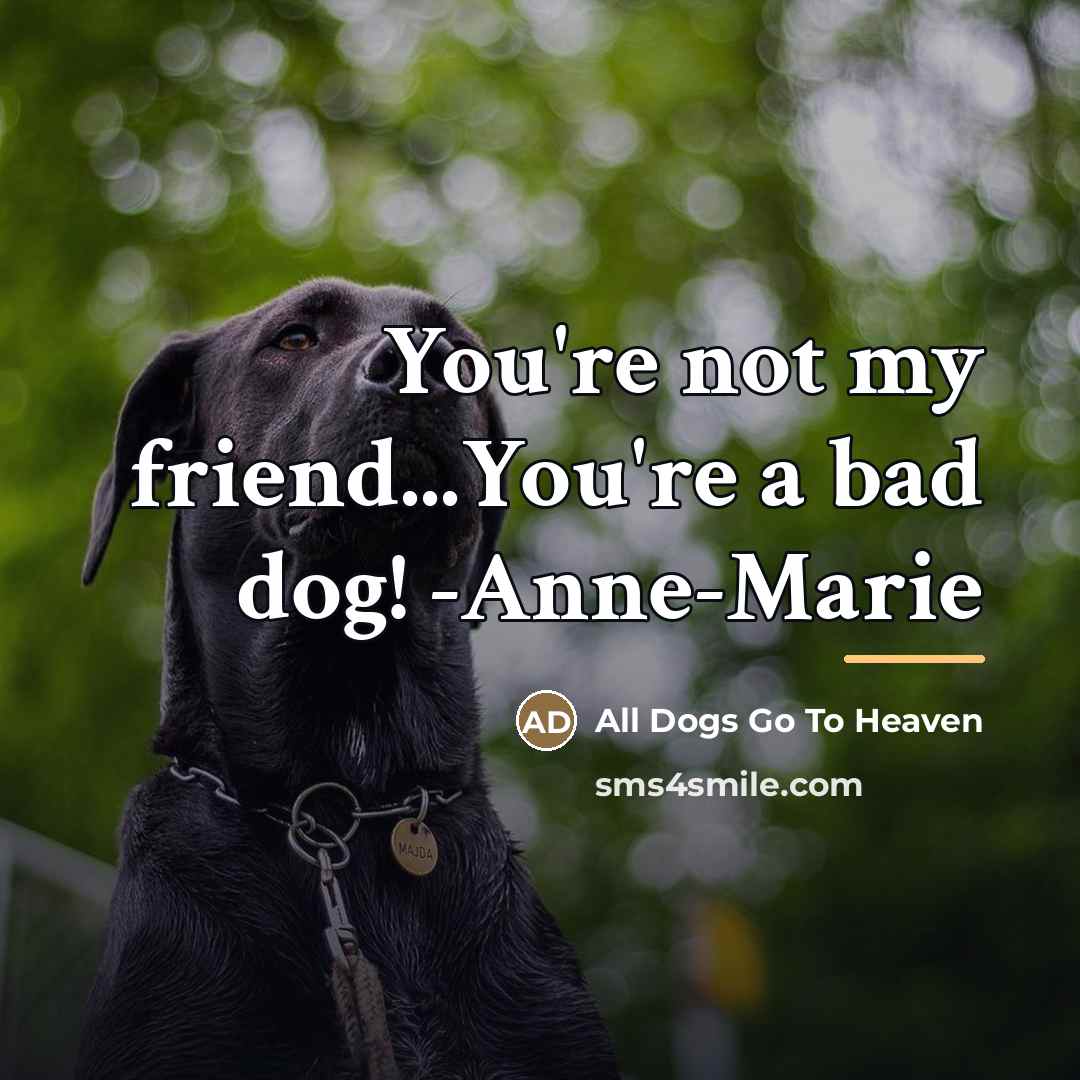 “You're not my friend...You're a bad dog! -Anne-Marie…” quote by All Dogs Go To Heaven