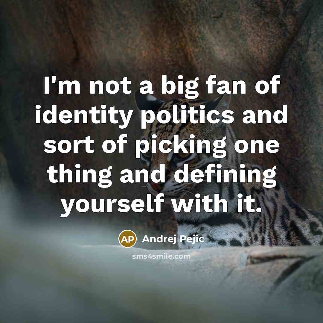 “I'm not a big fan of identity politics and sort…” quote by Andrej Pejic