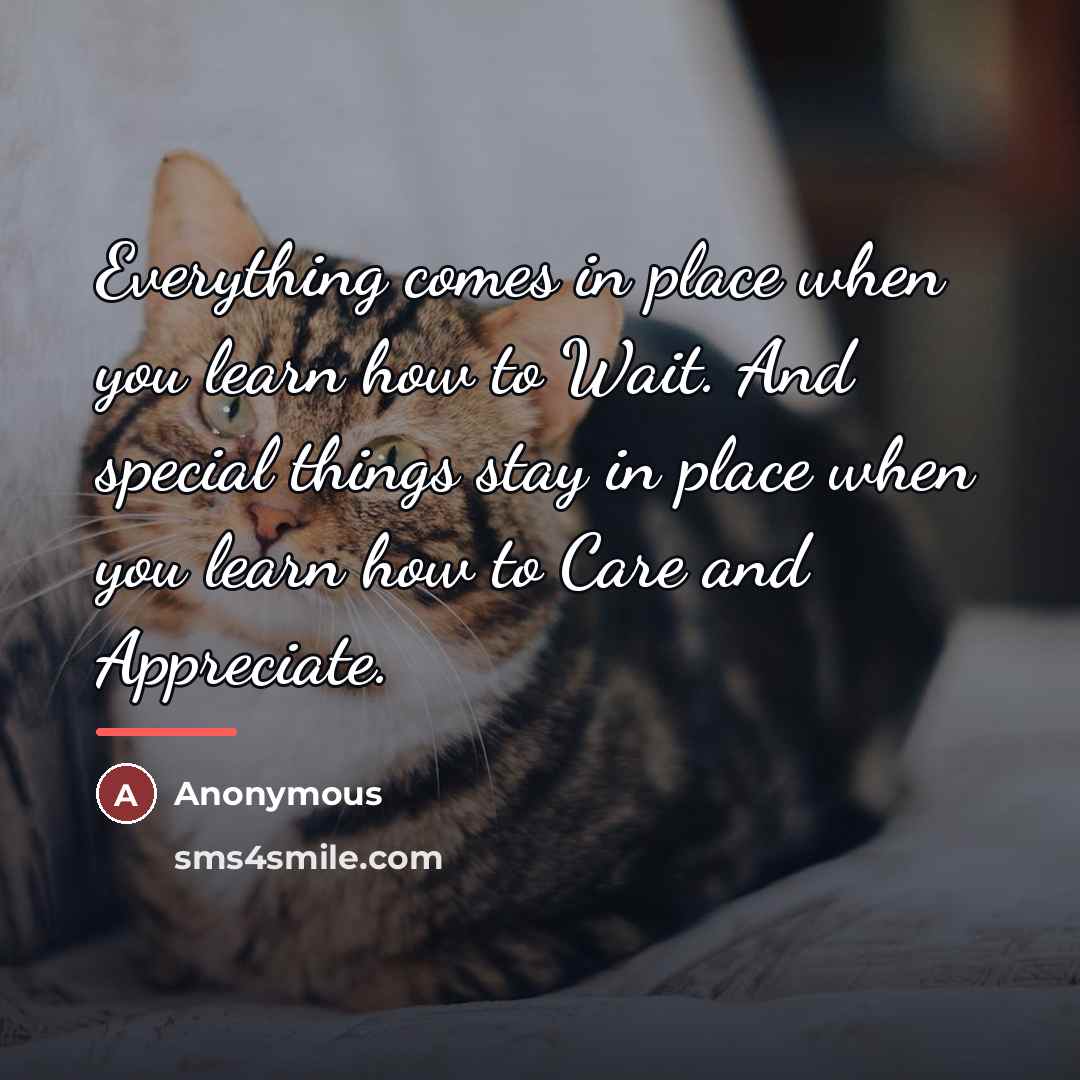 “Everything comes in place when you learn how to Wait.…” quote by Anonymous