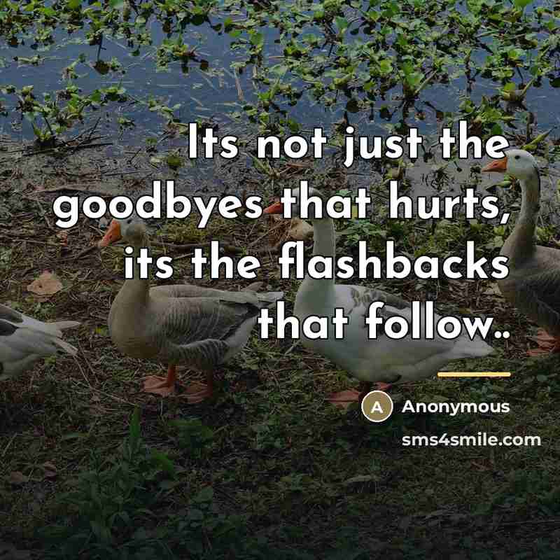 “Its not just the goodbyes that hurts, its the flashbacks…” quote by Anonymous