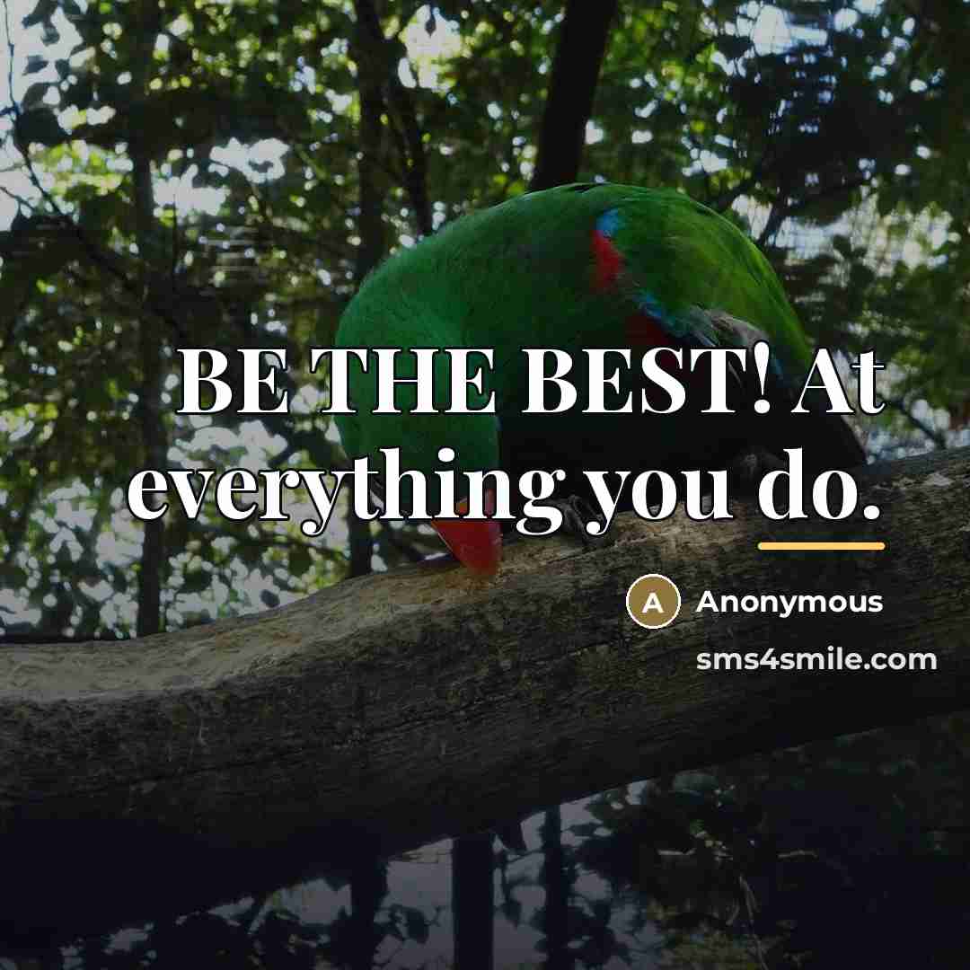 “BE THE BEST! At everything you do.…” quote by Anonymous