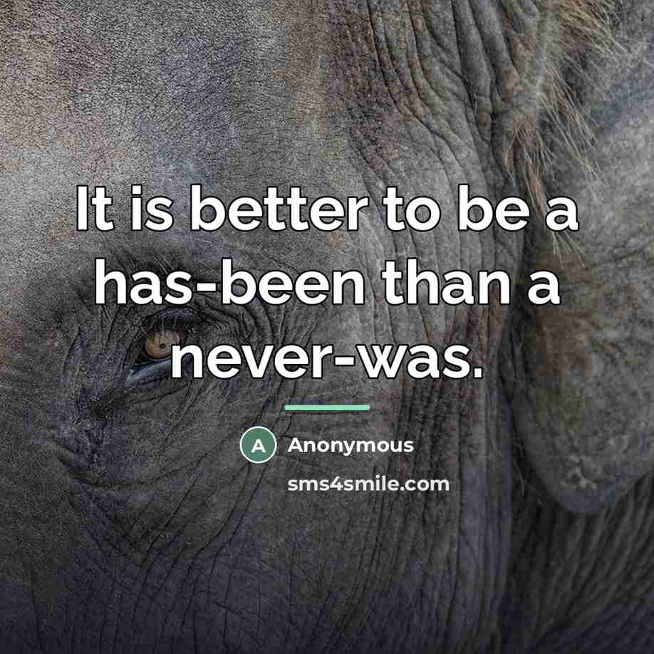 “It is better to be a has-been than a never-was.…” quote by Anonymous