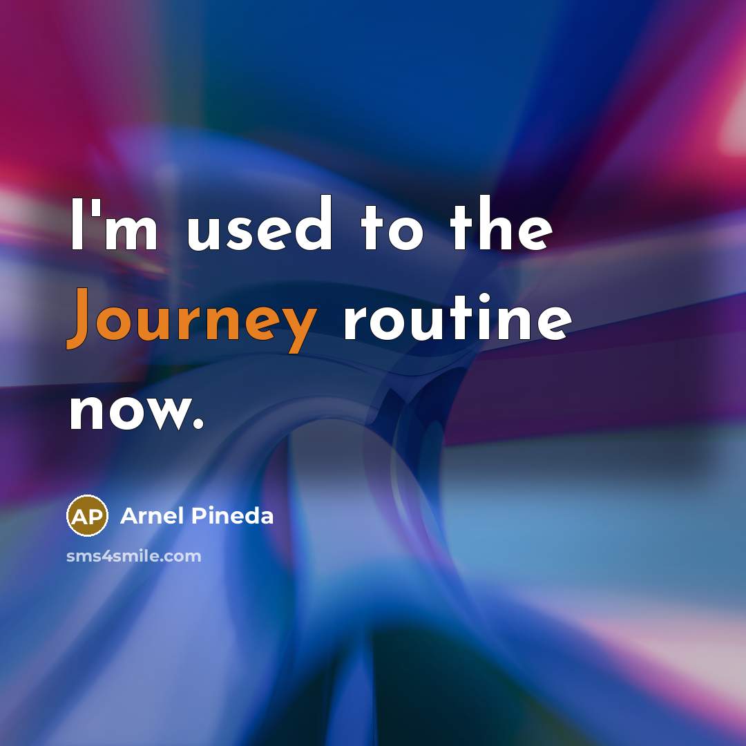 “I'm used to the Journey routine now.…” quote by Arnel Pineda