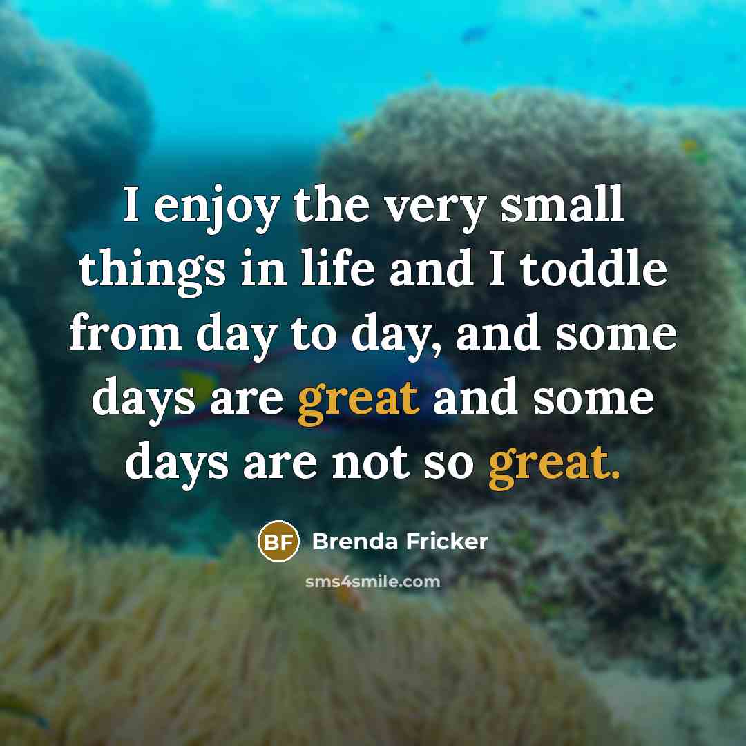 “I enjoy the very small things in life and I…” quote by Brenda Fricker