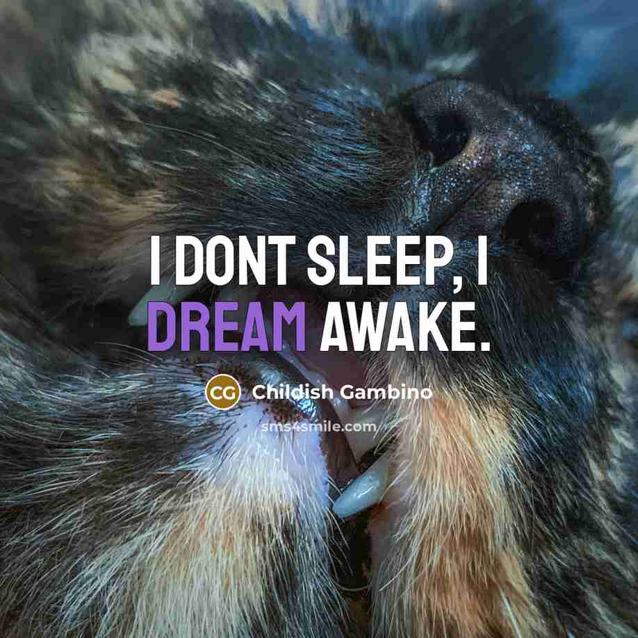 “I dont sleep, I dream awake.…” quote by Childish Gambino