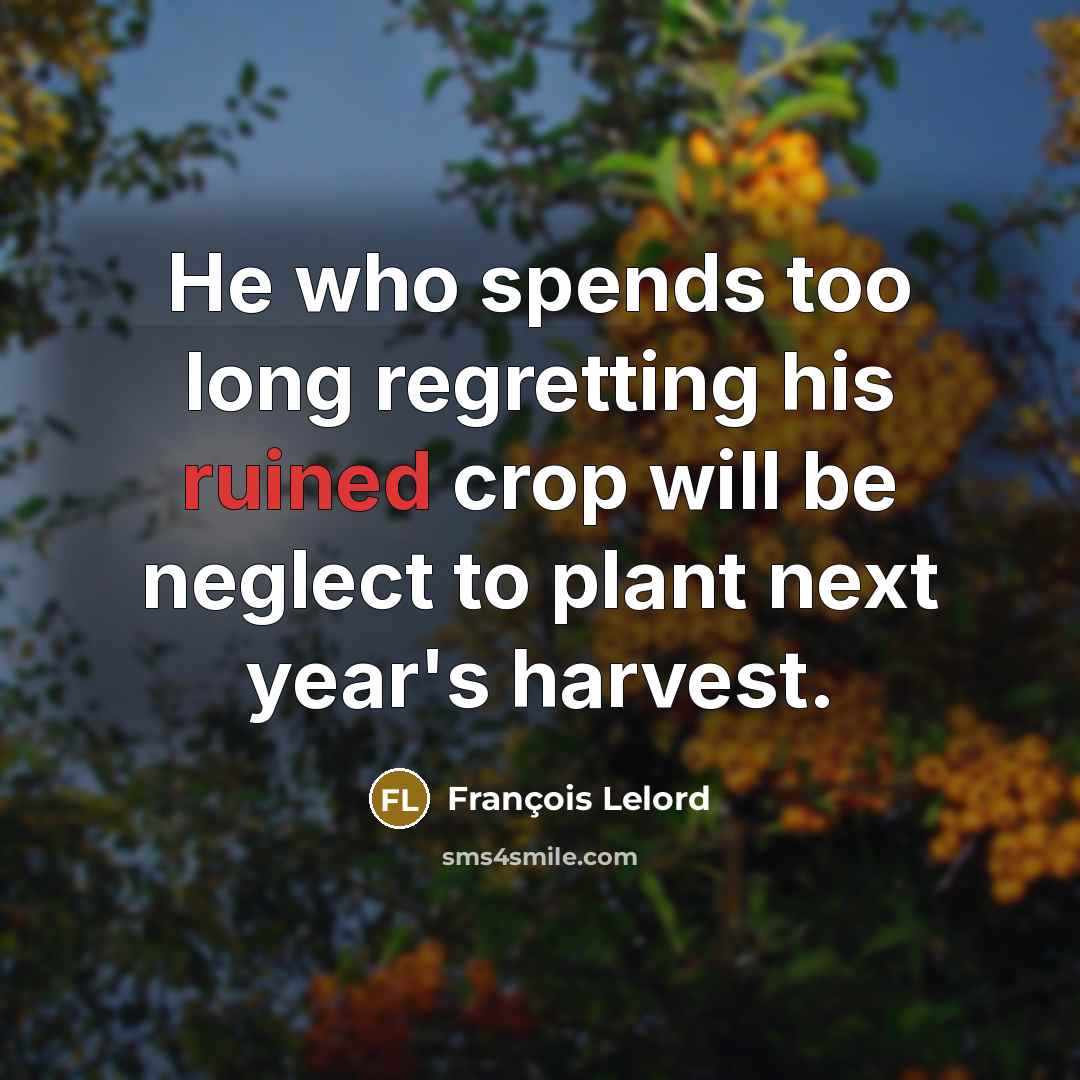 “He who spends too long regretting his ruined crop will…” quote by François Lelord