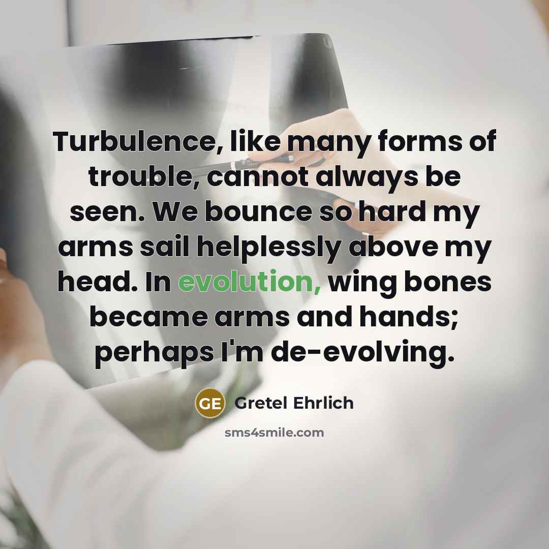 “Turbulence, like many forms of trouble, cannot always be seen.…” quote by Gretel Ehrlich