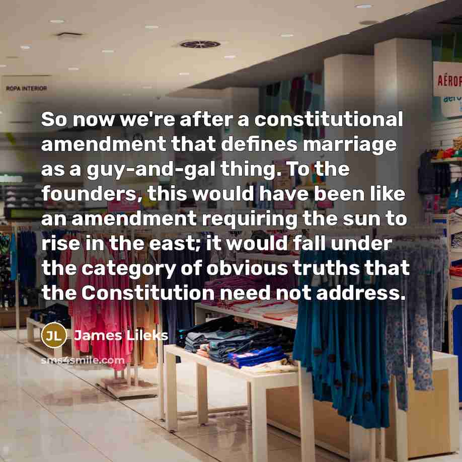 “So now we're after a constitutional amendment that defines marriage…” quote by James Lileks