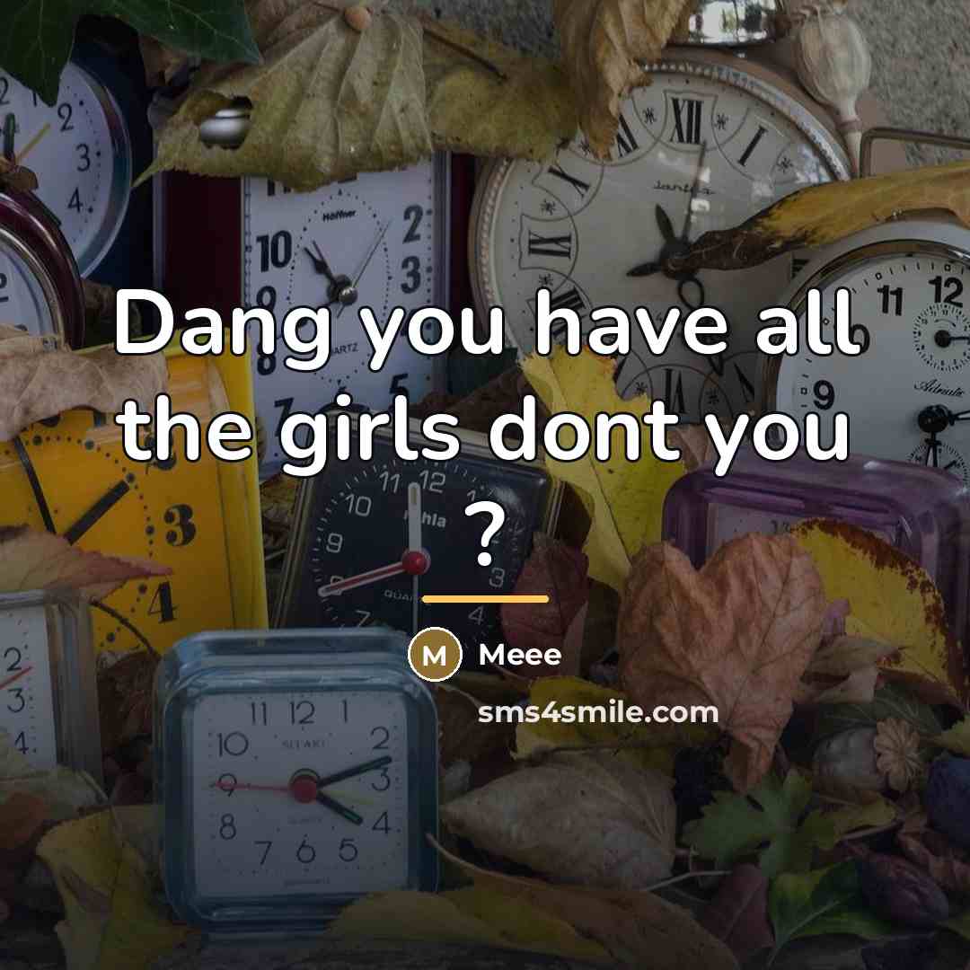 “Dang you have all the girls dont you ?…” quote by Meee