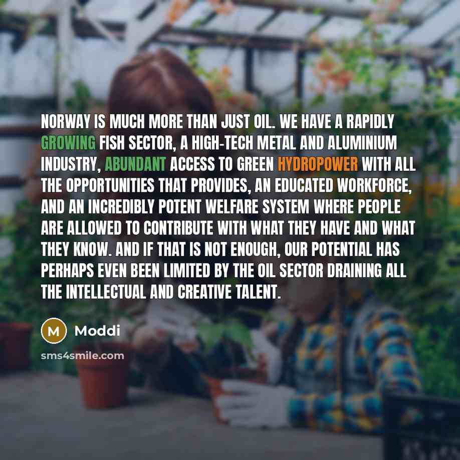 “Norway is much more than just oil. We have a rapidly growing fish sector, a high-tech metal and aluminium industry, abundant access to green hydropower with all the opportunities that provides, an educated workforce, and an incredibly potent welfare system where people are allowed to contribute…” quote by Moddi