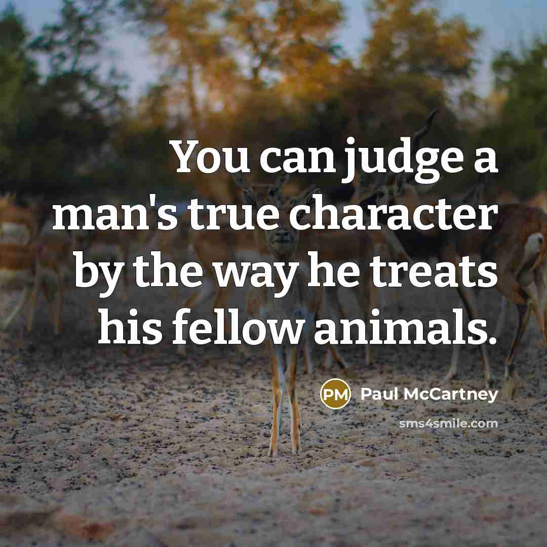 “You can judge a man's true character by the way…” quote by Paul McCartney