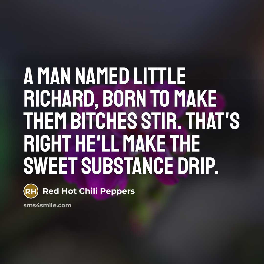 “A man named Little Richard, born to make them bitches stir. That's right he'll make the sweet substance drip.” quote by Red Hot Chili Peppers