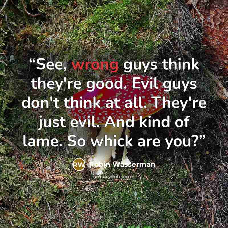 “See, wrong guys think they're good. Evil guys don't think at all. They're just evil. And kind of lame. So whick are you?” quote by Robin Wasserman