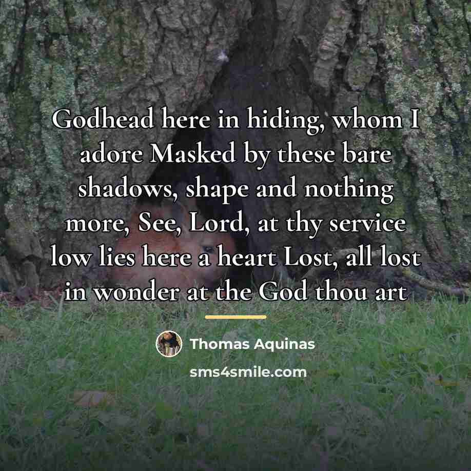 “Godhead here in hiding, whom I adore Masked by these…” quote by Thomas Aquinas