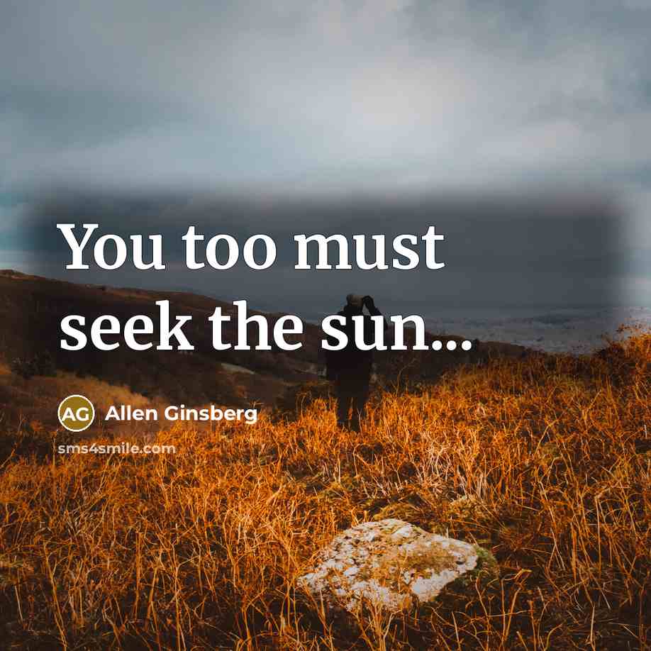 “You too must seek the sun...…” quote by Allen Ginsberg