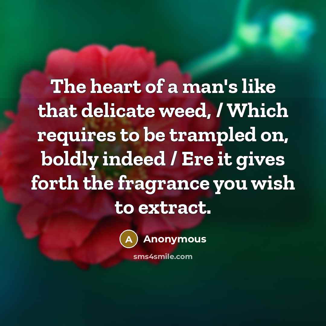 “The heart of a man's like that delicate weed, /…” quote by Anonymous