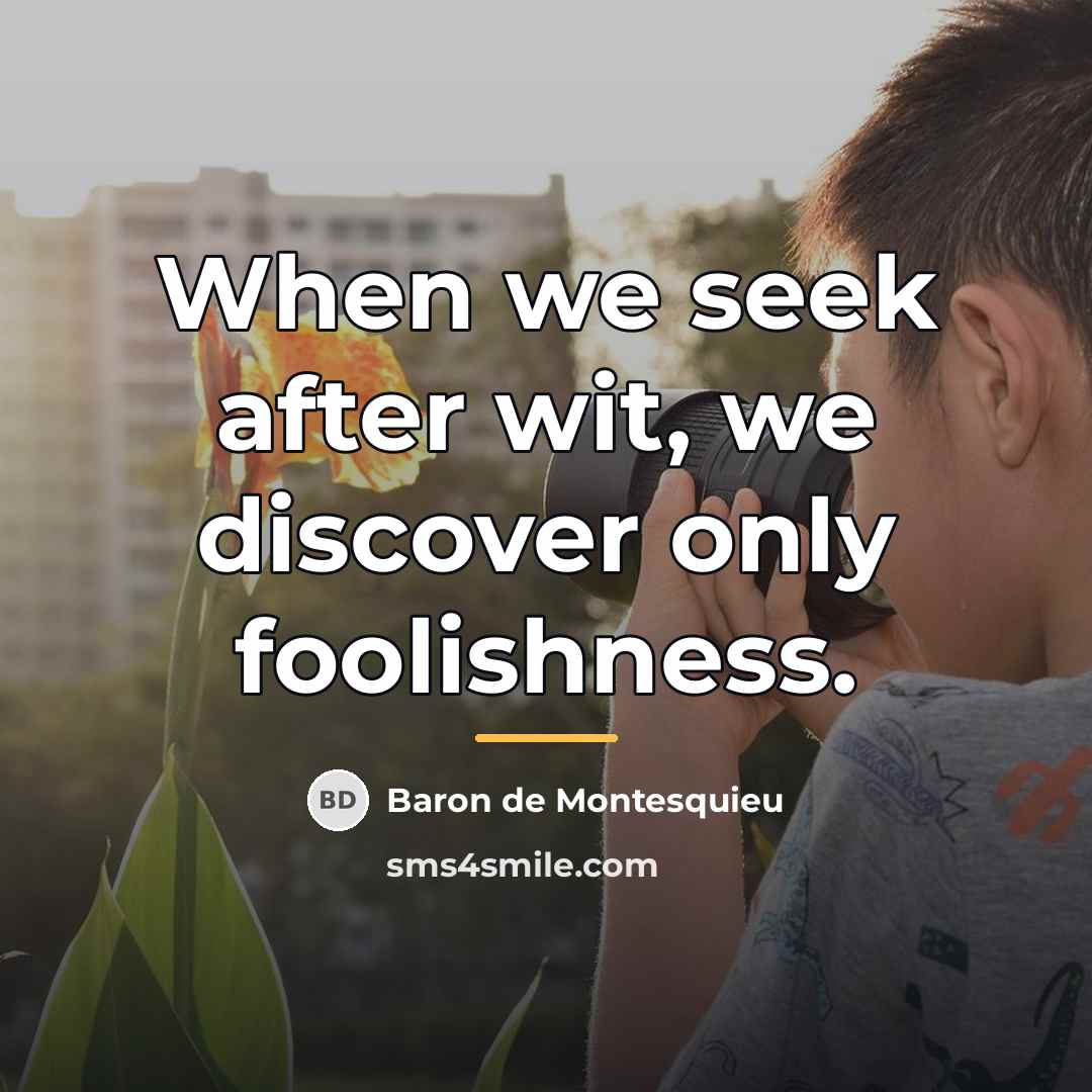 “When we seek after wit, we discover only foolishness.…” quote by Baron de Montesquieu