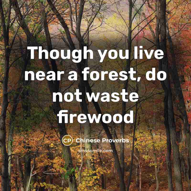 “Though you live near a forest, do not waste firewood” quote by Chinese Proverbs