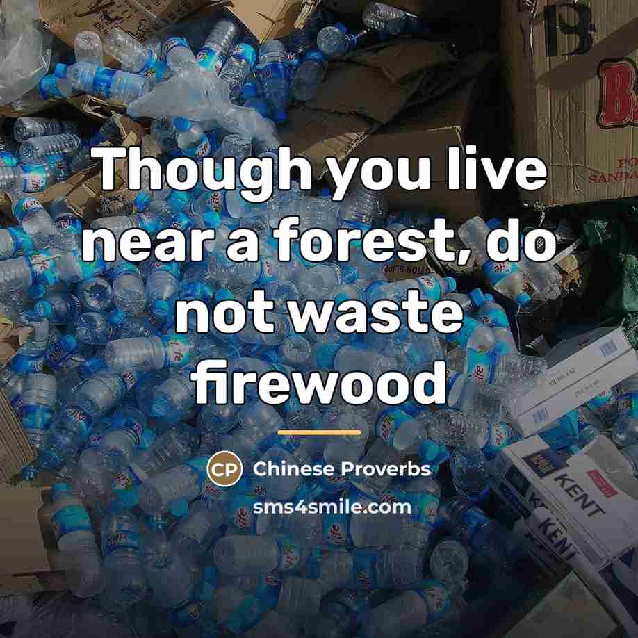 “Though you live near a forest, do not waste firewood…” quote by Chinese Proverbs