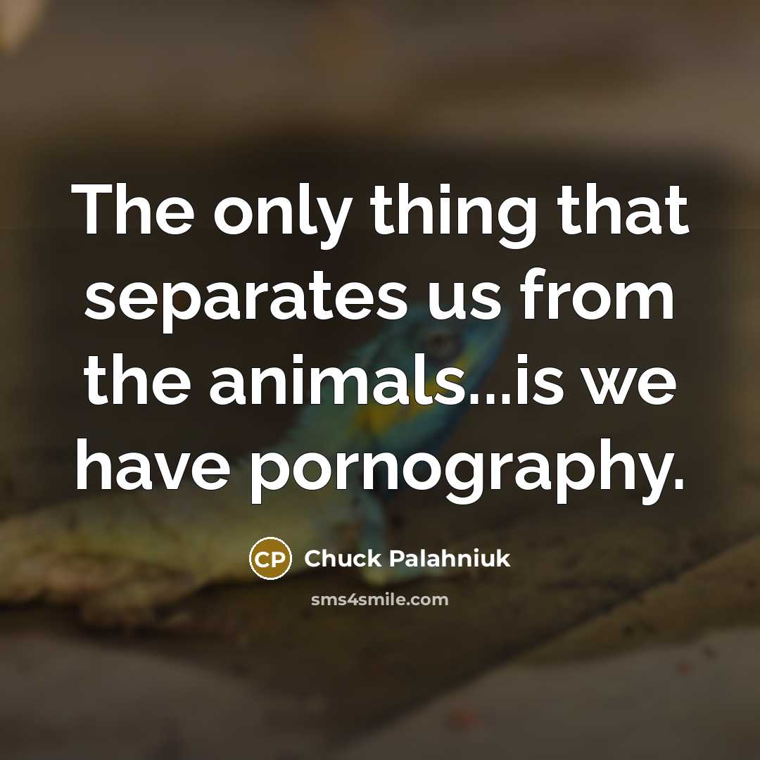 “The only thing that separates us from the animals...is we…” quote by Chuck Palahniuk