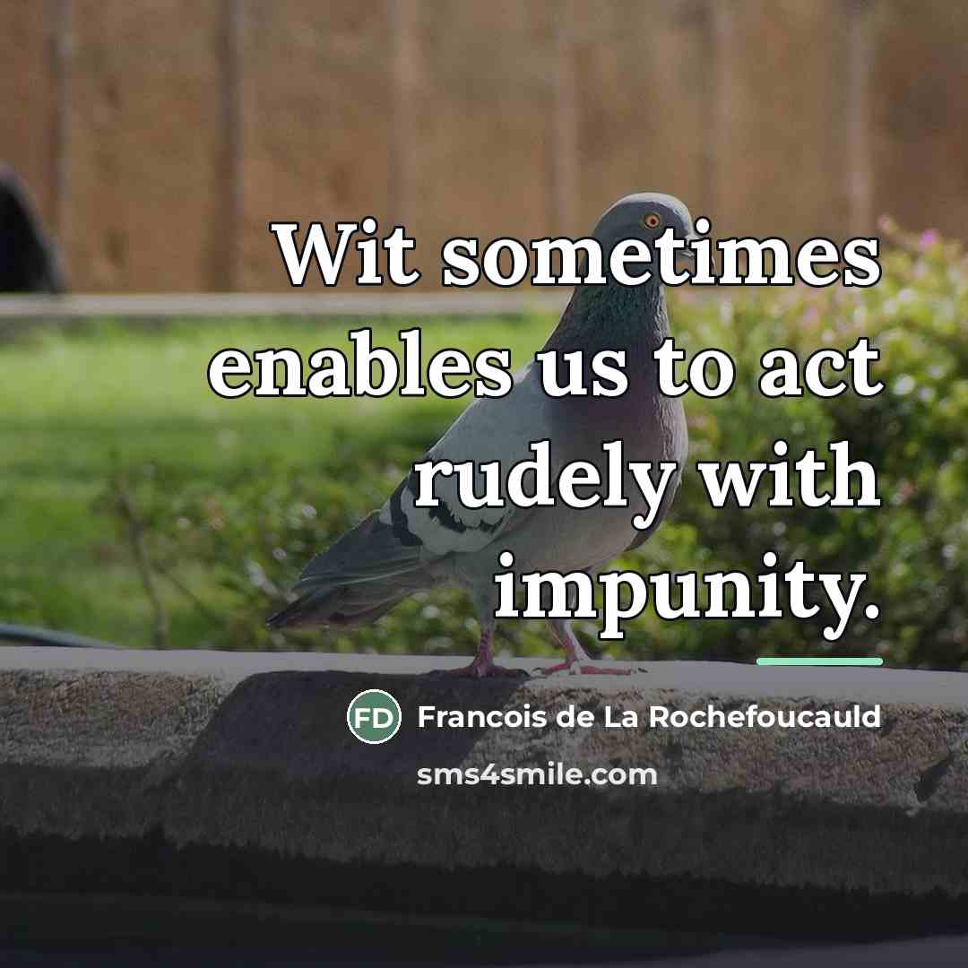 “Wit sometimes enables us to act rudely with impunity.…” quote by Francois de La Rochefoucauld