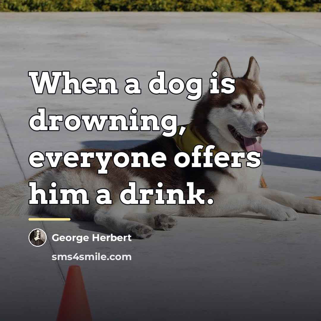 “When a dog is drowning, everyone offers him a drink.…” quote by George Herbert