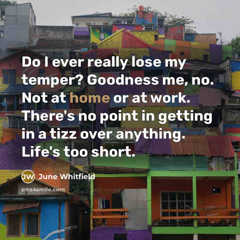 “Do I ever really lose my temper? Goodness me, no.…” quote by June Whitfield