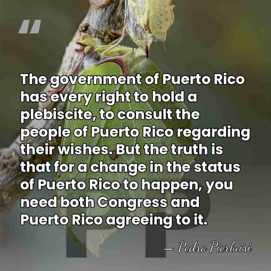 The government of Puerto Rico has every right to hold a plebiscite,&hellip; - Pedro Pierluisi