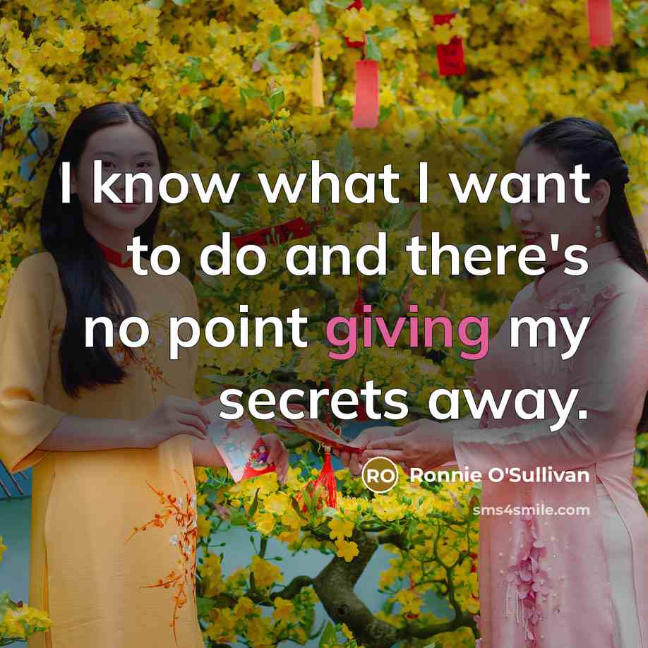 “I know what I want to do and there's no…” quote by Ronnie O'Sullivan