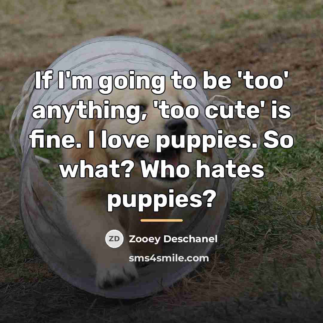 “If I'm going to be 'too' anything, 'too cute' is…” quote by Zooey Deschanel