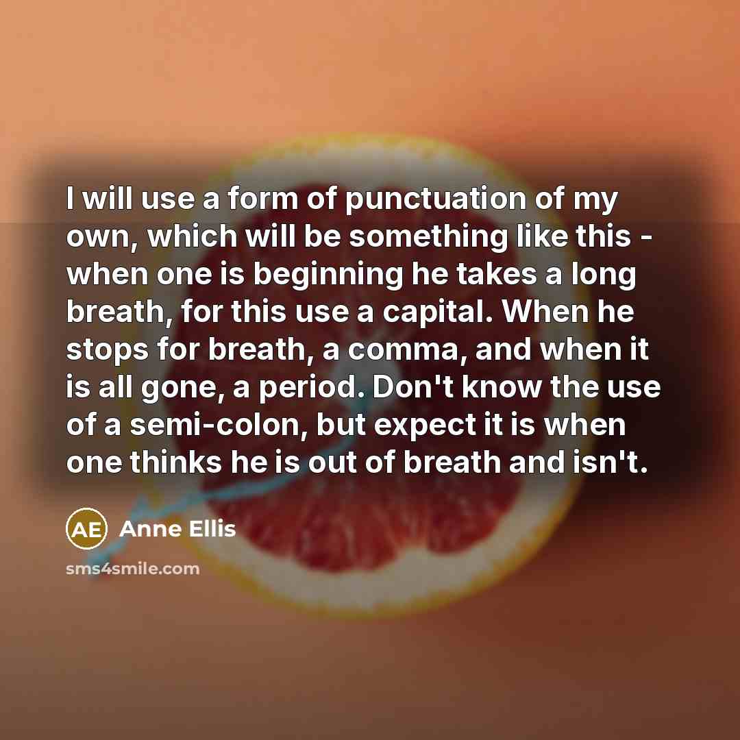 “I will use a form of punctuation of my own,…” quote by Anne Ellis