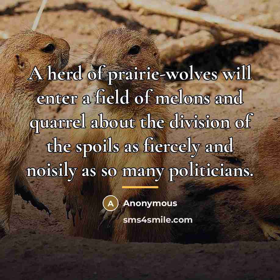 “A herd of prairie-wolves will enter a field of melons…” quote by Anonymous