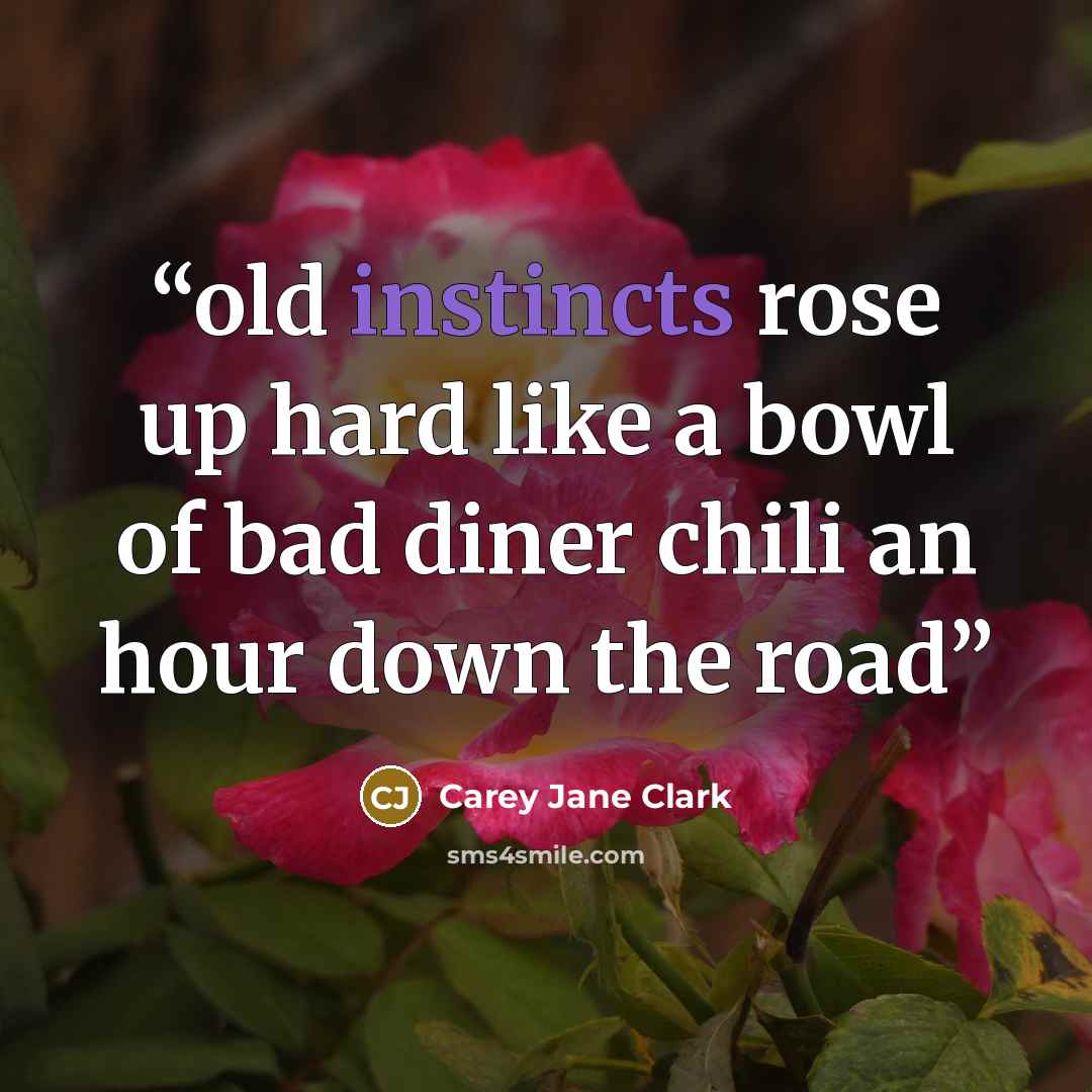 “old instincts rose up hard like a bowl of bad diner chili an hour down the road” quote by Carey Jane Clark
