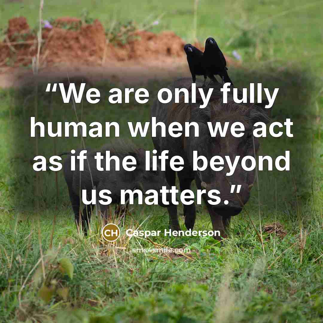 “We are only fully human when we act as if the life beyond us matters.” quote by Caspar Henderson