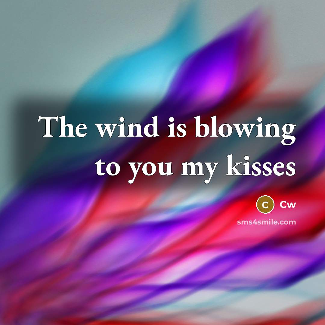 “The wind is blowing to you my kisses” quote by Cw