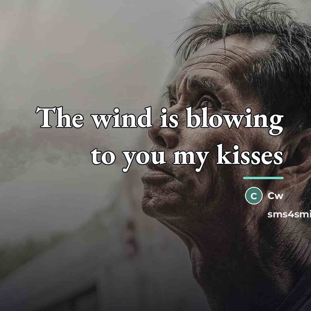 “The wind is blowing to you my kisses…” quote by Cw