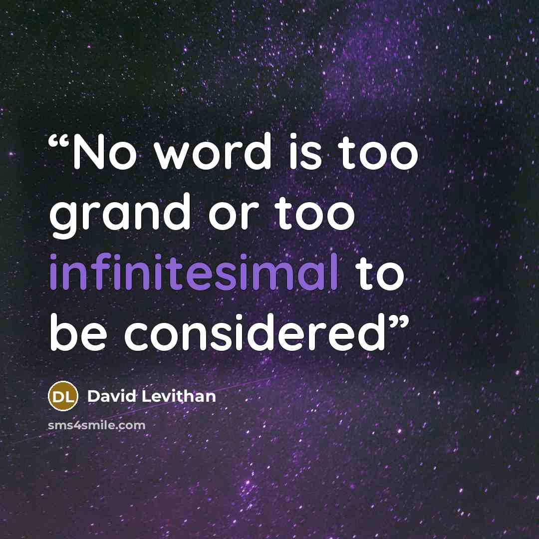 “No word is too grand or too infinitesimal to be considered” quote by David Levithan
